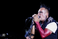 Combichrist