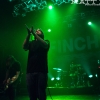 Finch 6
