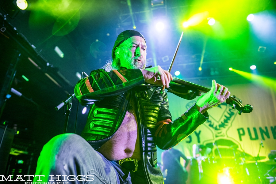 Gogol Bordello 6