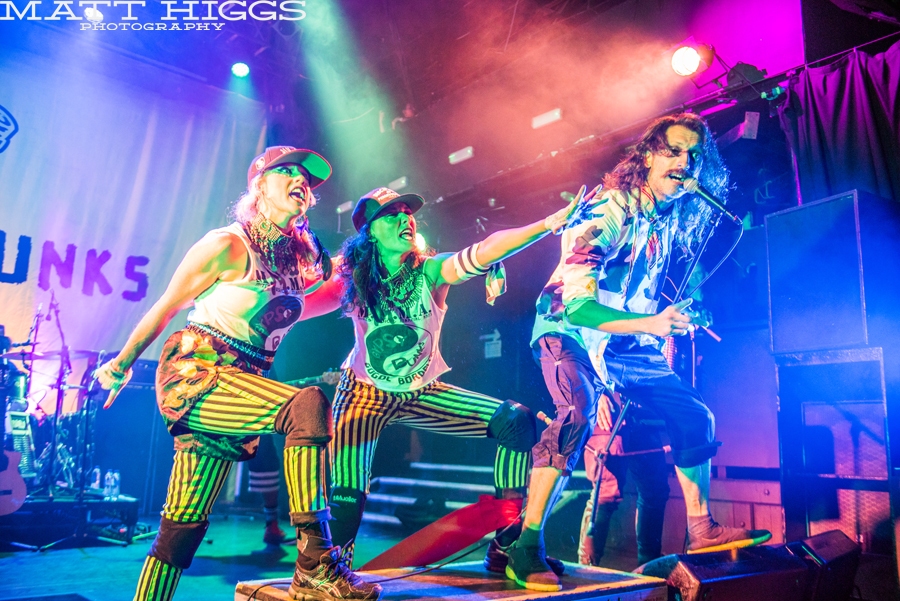 Gogol Bordello 8
