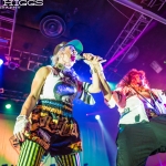 Gogol Bordello 14