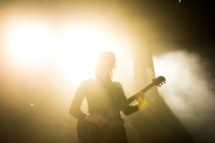 Mastodon