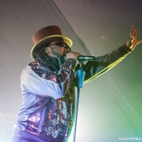 Skindred