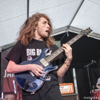 Marmozets