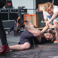 Marmozets