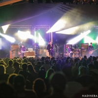 Kids In Glass Houses