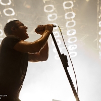 Nine Inch Nails (2)