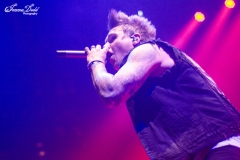Papa Roach + Coldrain + The One Hundred