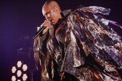 Skunk Anansie 2019