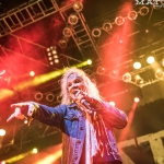 Steel Panther 33