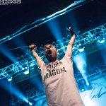 The Used 20